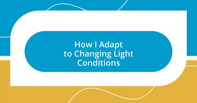 How I Adapt to Changing Light Conditions